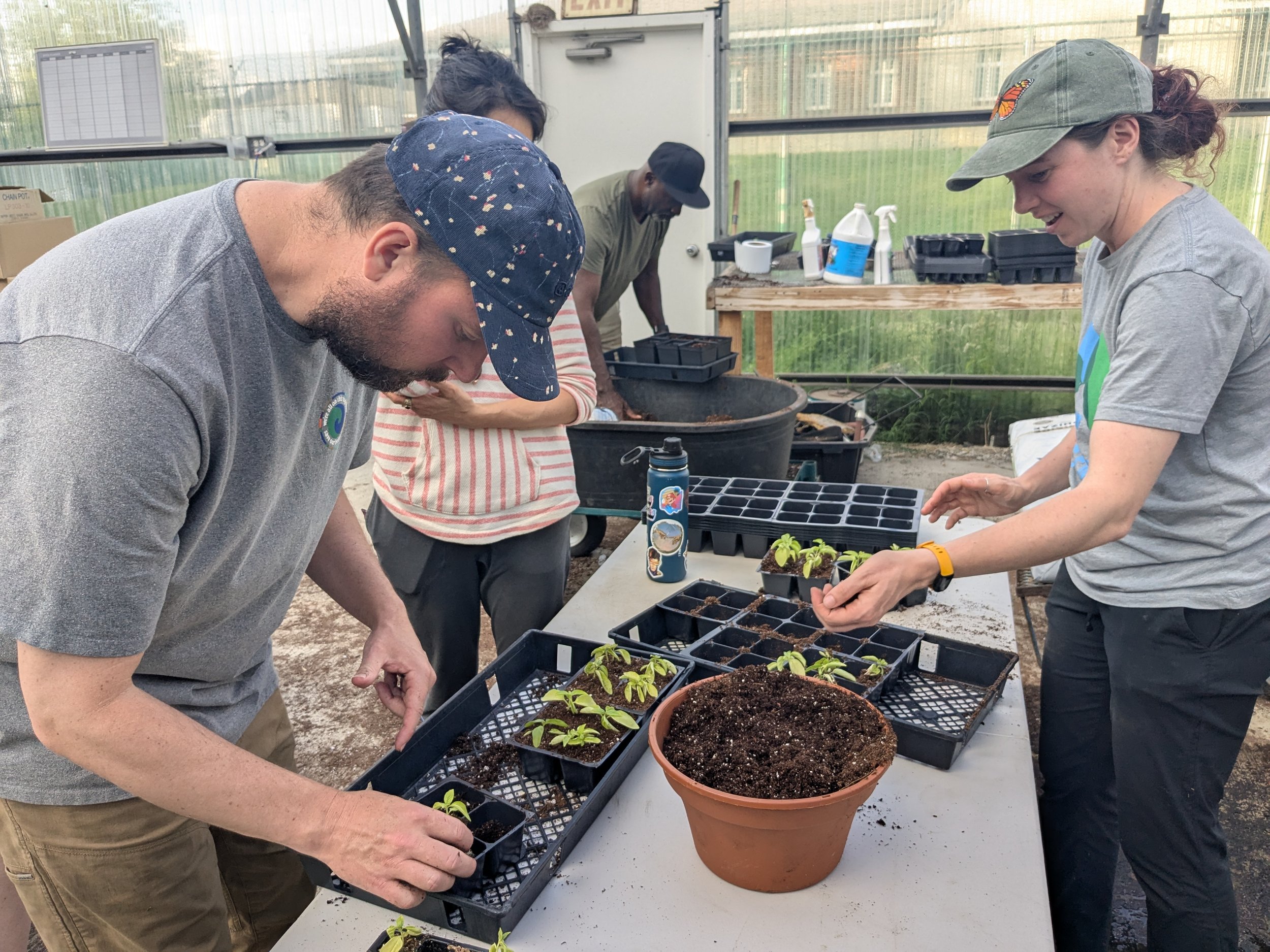 NGGS students working on potting up seedlings at a table_Bright Spot Farms_May 2025.jpg