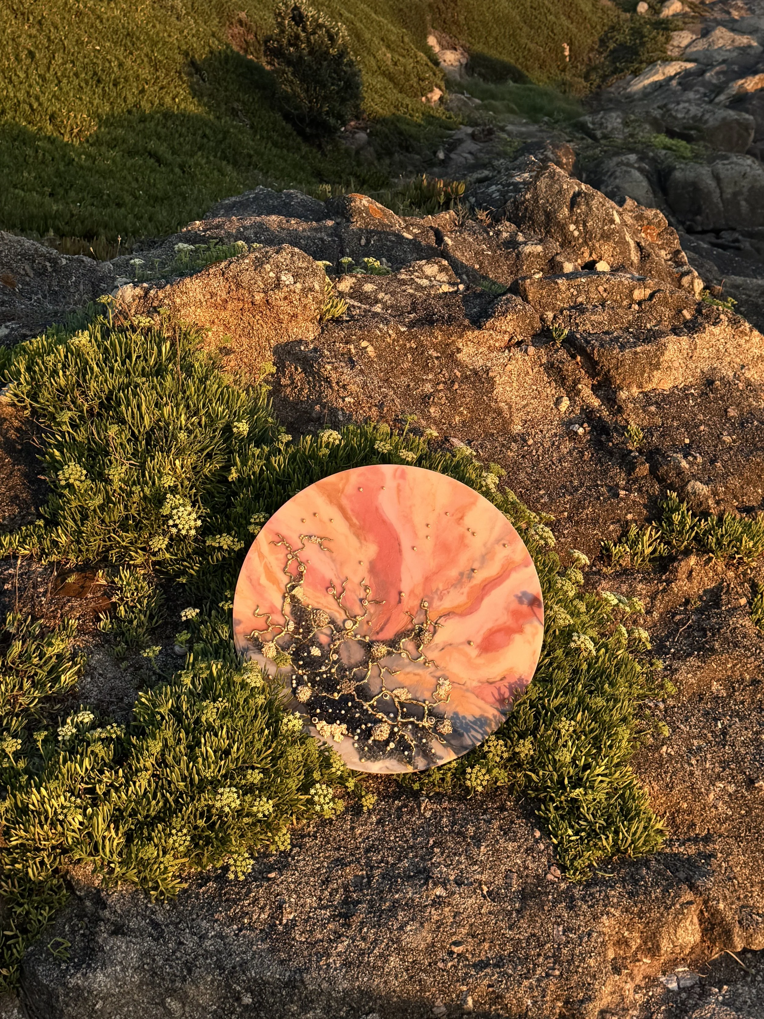 Pedra decorativa redonda com detalhes dourados, cercada por vegetação de pequenas plantas verdes, ao pôr do sol com iluminação dourada.