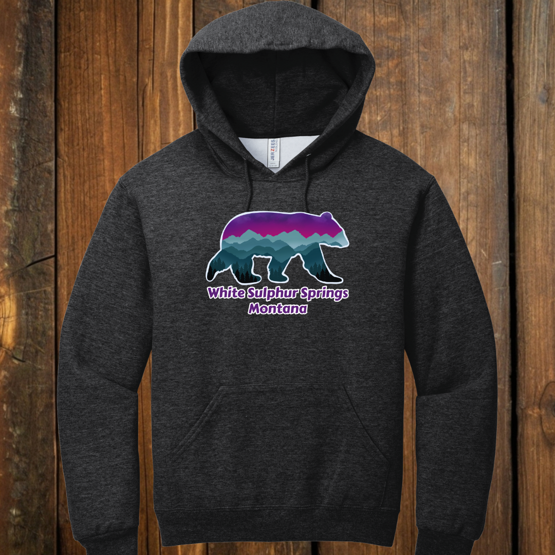 Norther Lights bear hoodie vintage black