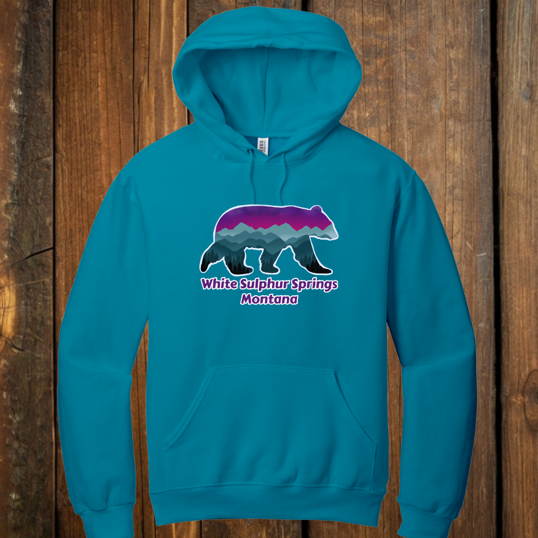 Norther Lights bear hoodie tropical blue