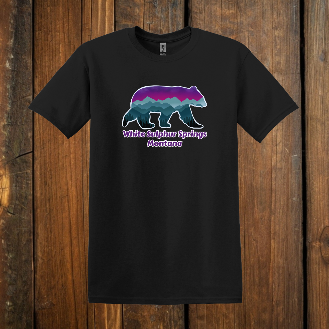 Northern lights bear tee black