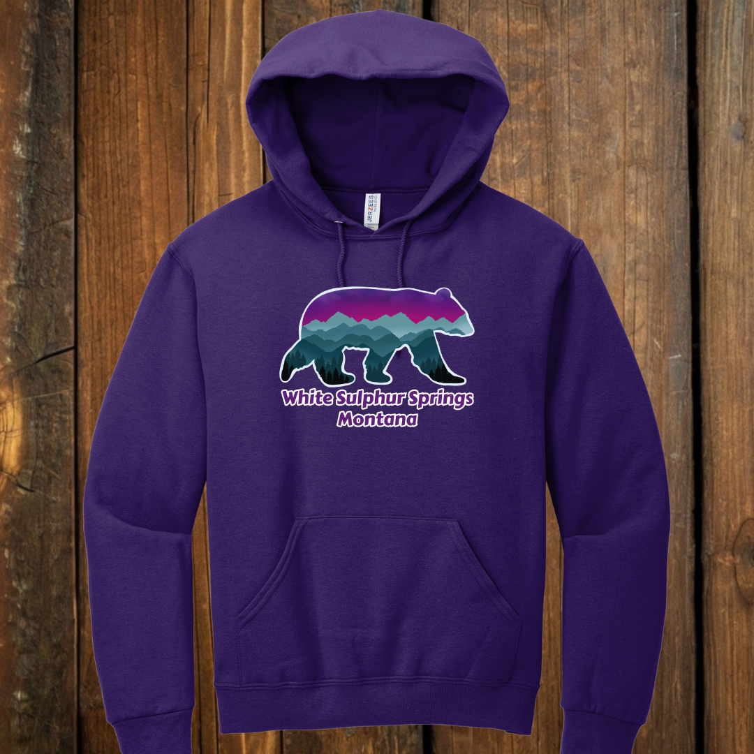 Norther Lights bear hoodie purple