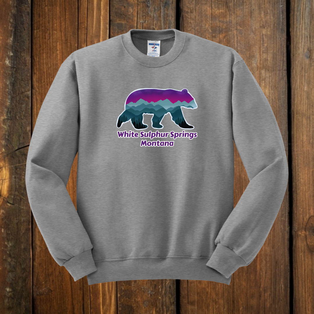 Northern Lights Bear Gray Sweatshirt