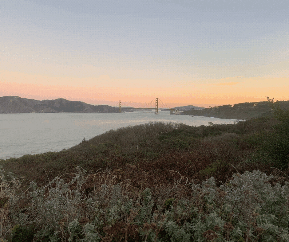Maggie's Market Minute: February 2021 - The Words of the Market