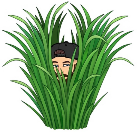 Mow It Wells