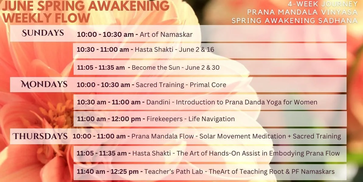 WhatsApp Image 2024-04-24 at 14.49.46 (1).jpeg