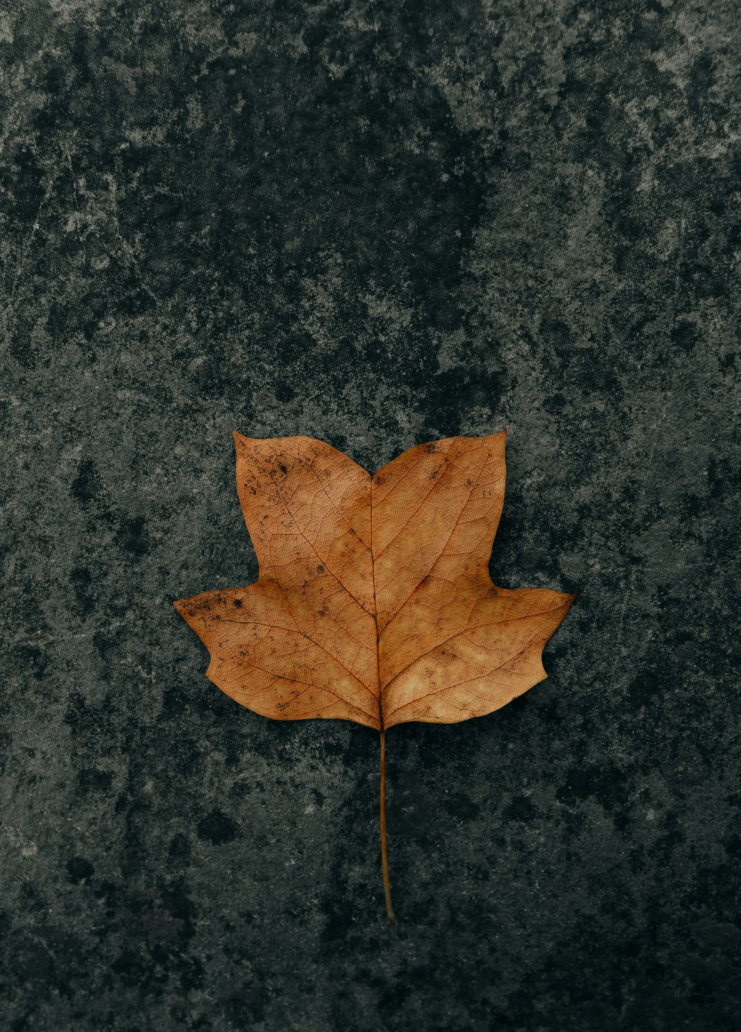 Visaptverošs atbalsts pusaudžu garīgajai veselībai un trauksmes problēmām