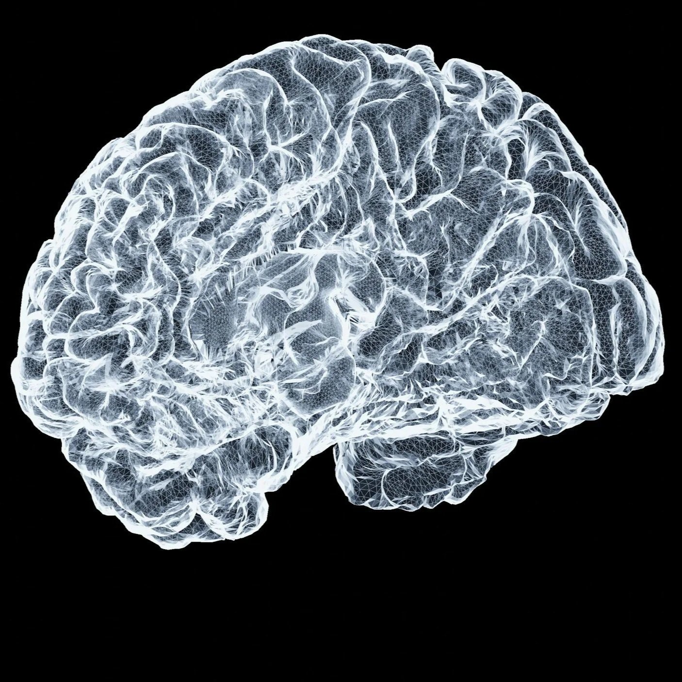 Creatine &amp; Brain Health: Hype vs Reality