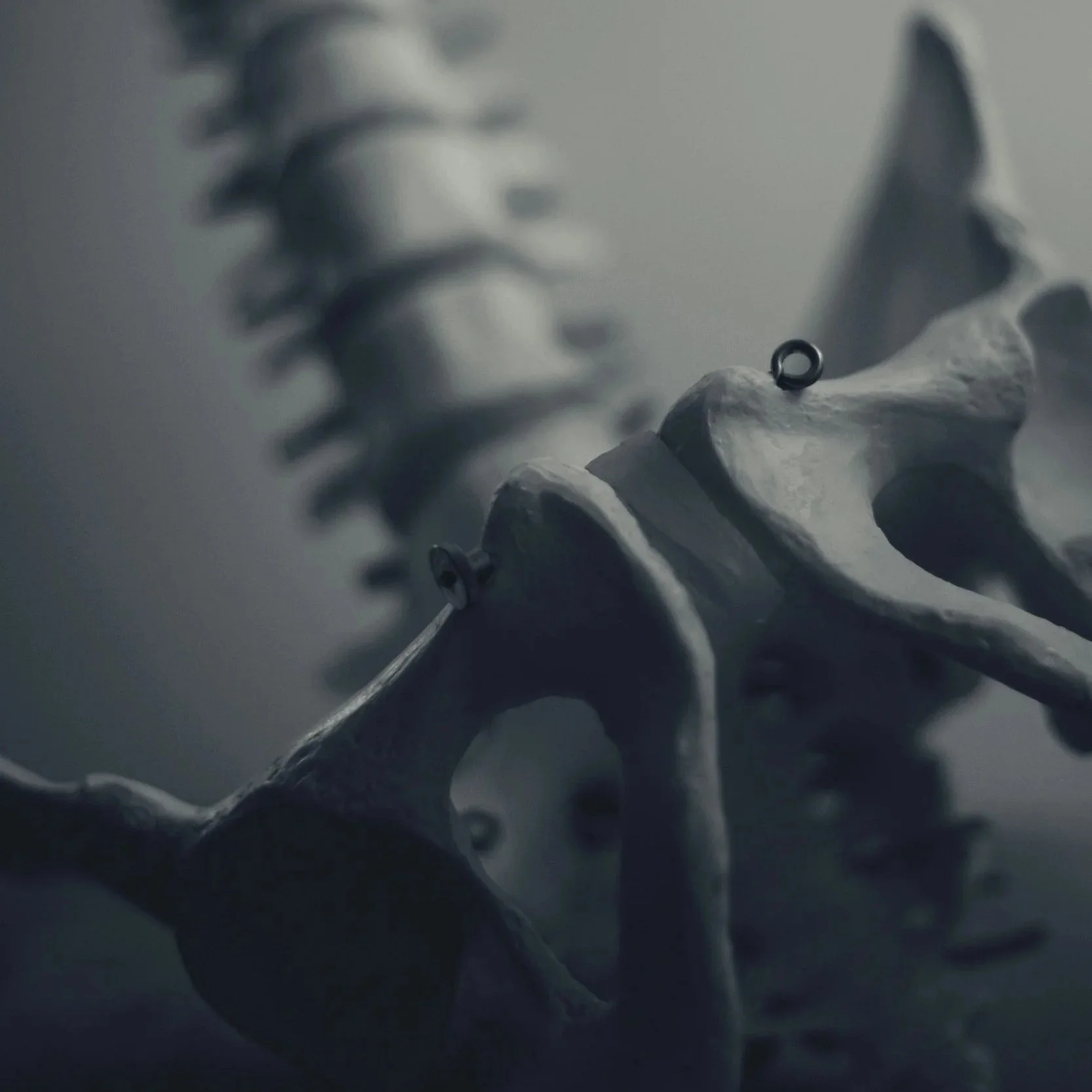 How to Train for Bone Health