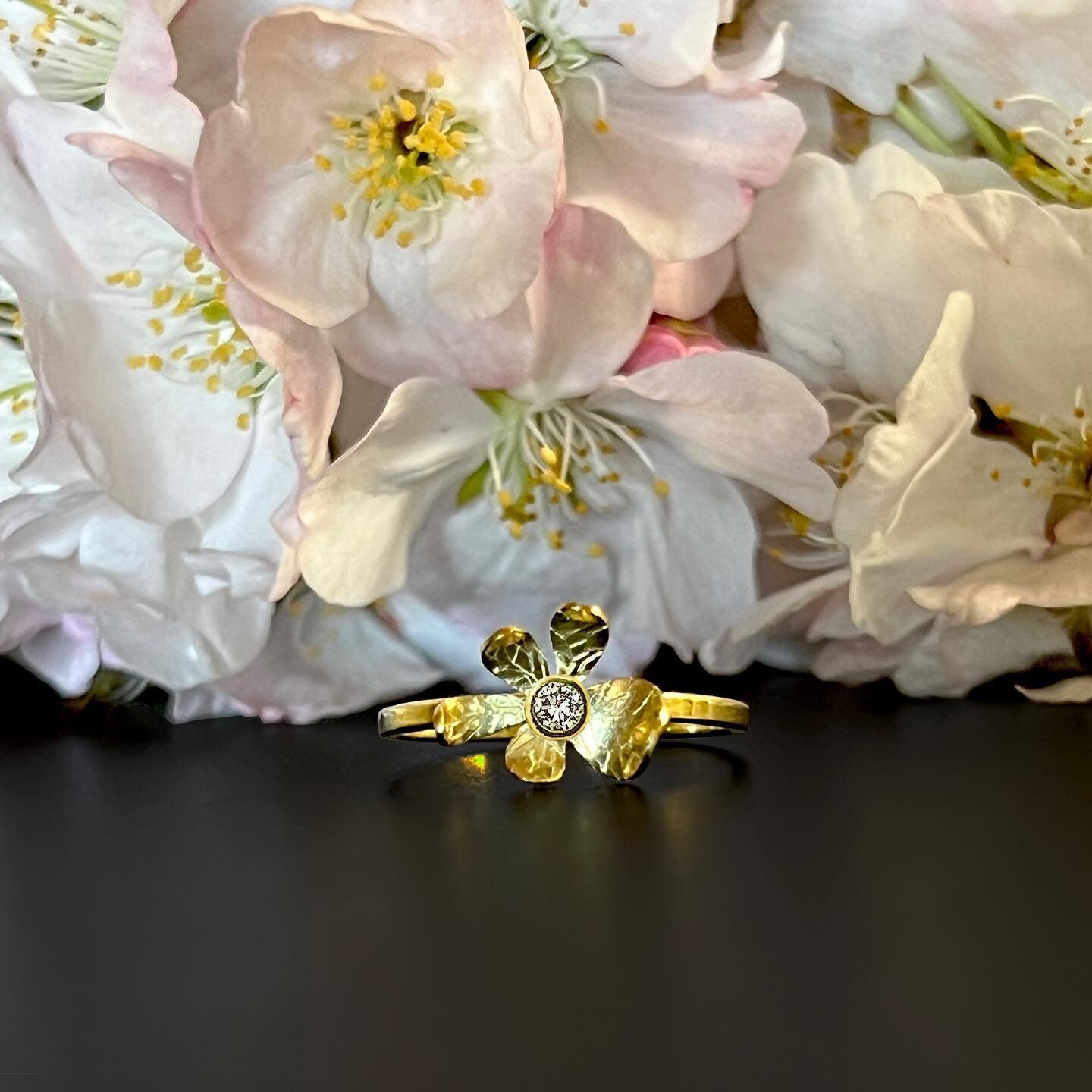 new to my Natura collection and perfect for spring, a series of 18K gold dogwood blossoms, featured here with white diamonds&hellip;

#18kgold #recycledgold #diamond #handfabricated #artisanmade #benchjeweler #dogwood #natura