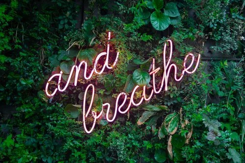 How do we create a sense of calm during uncertain times?