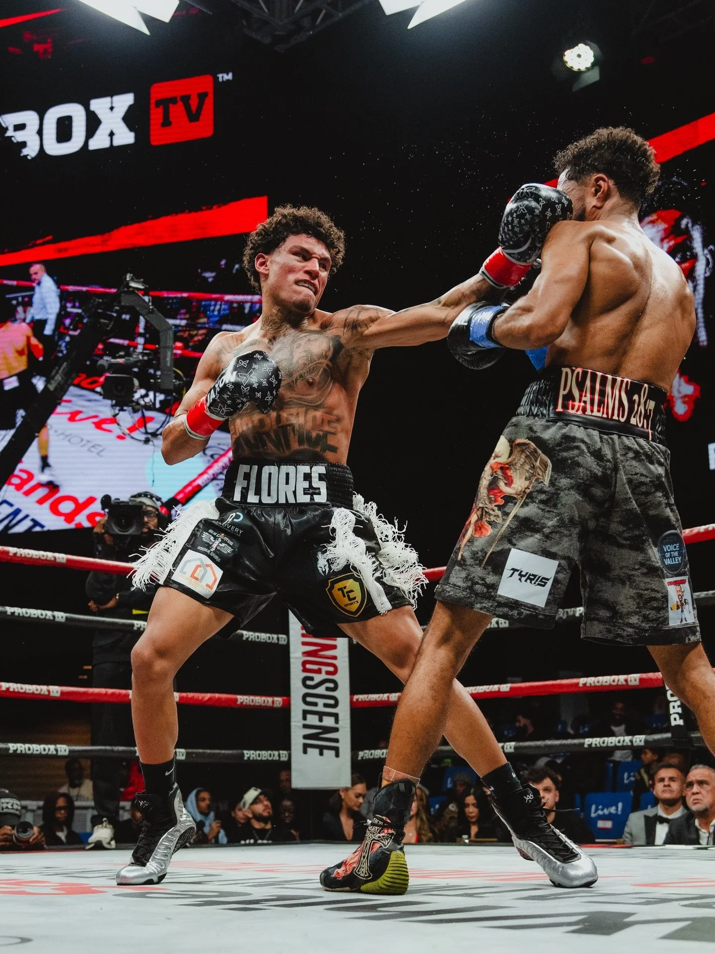 God&rsquo;s Strongest Warrior ⚔️🥊

Psalms 23:6