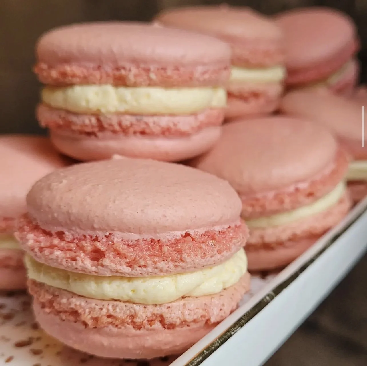 Rose Macaron