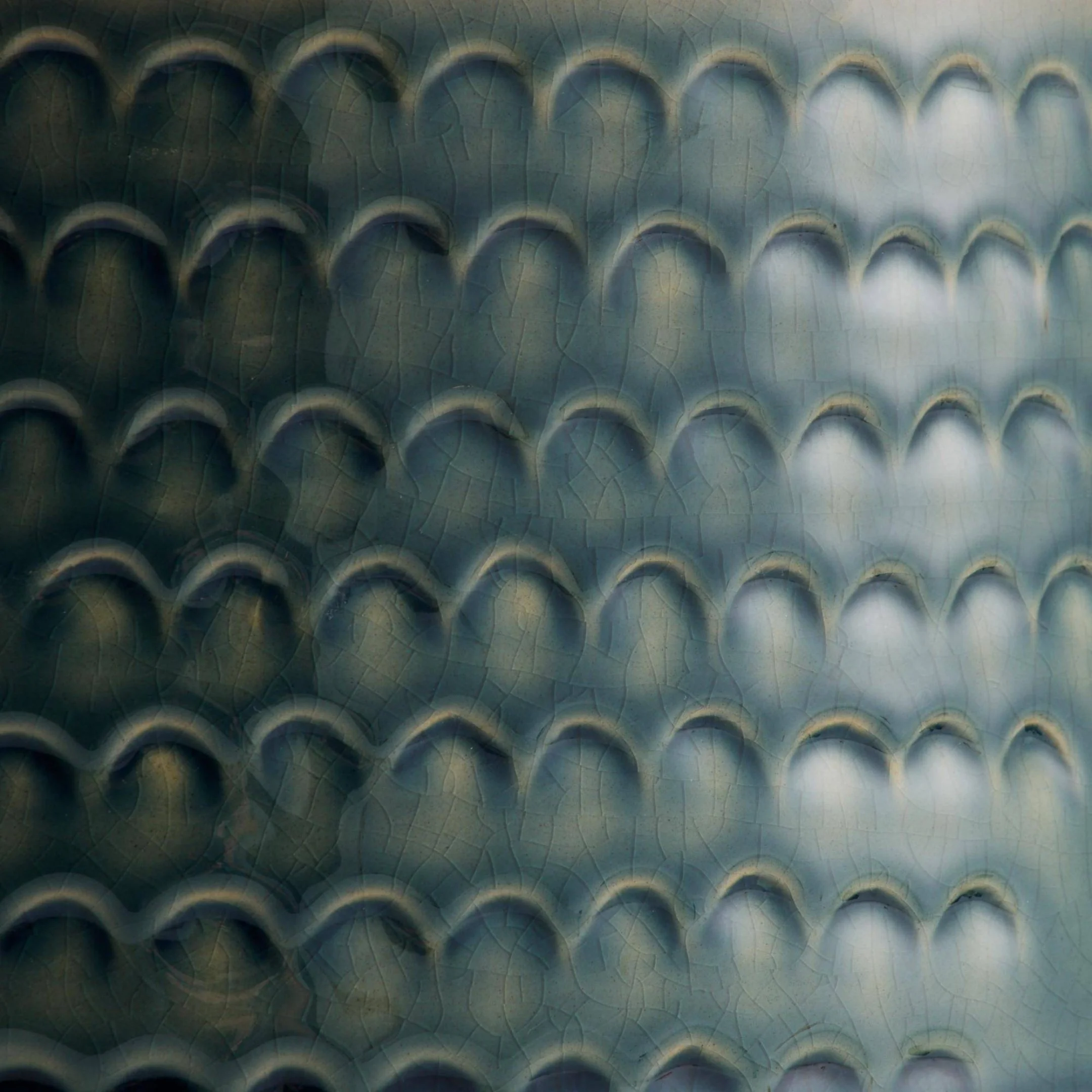 avc20.d4.jpg