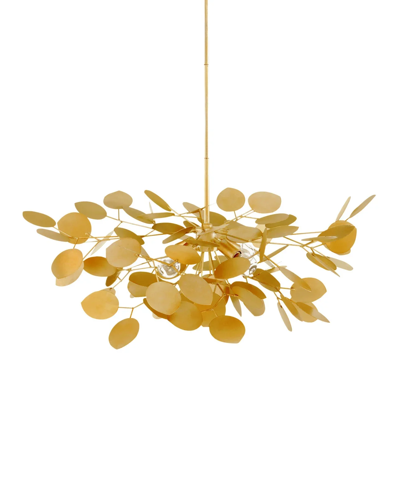 Lunaria 2.webp
