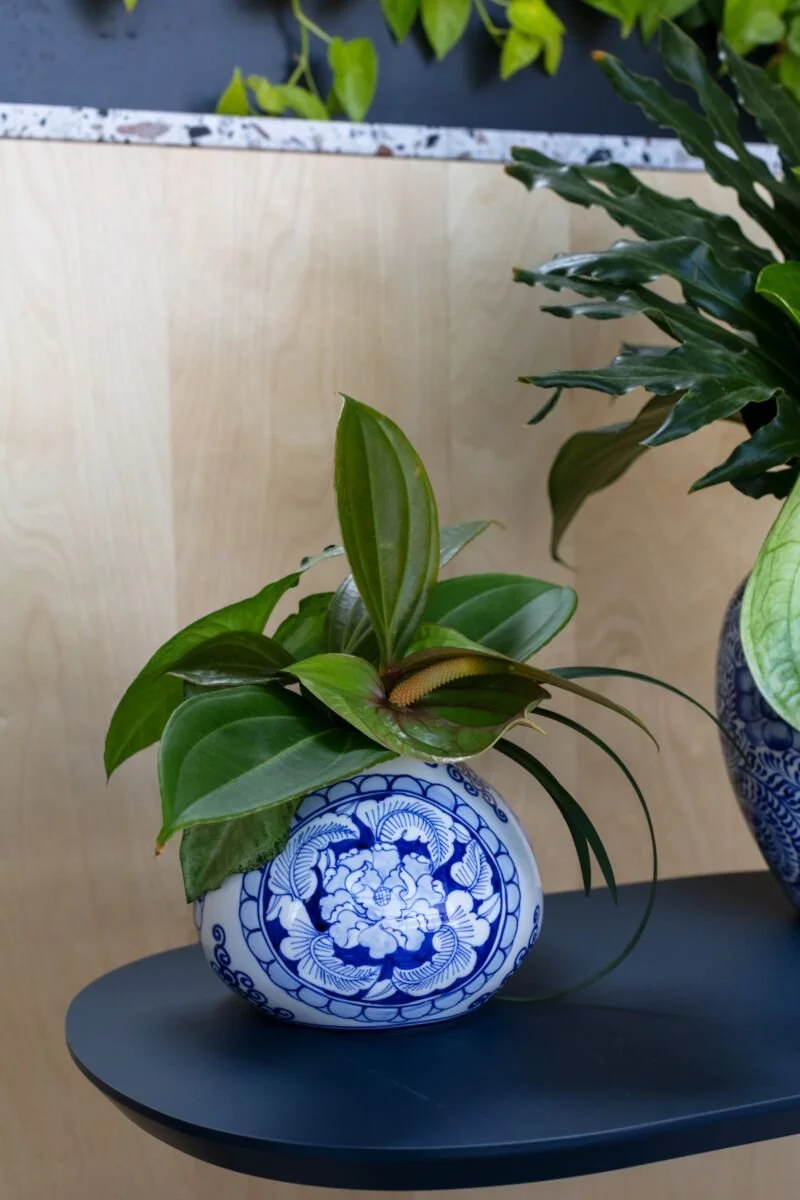 Eleanor Vase 2.jpg