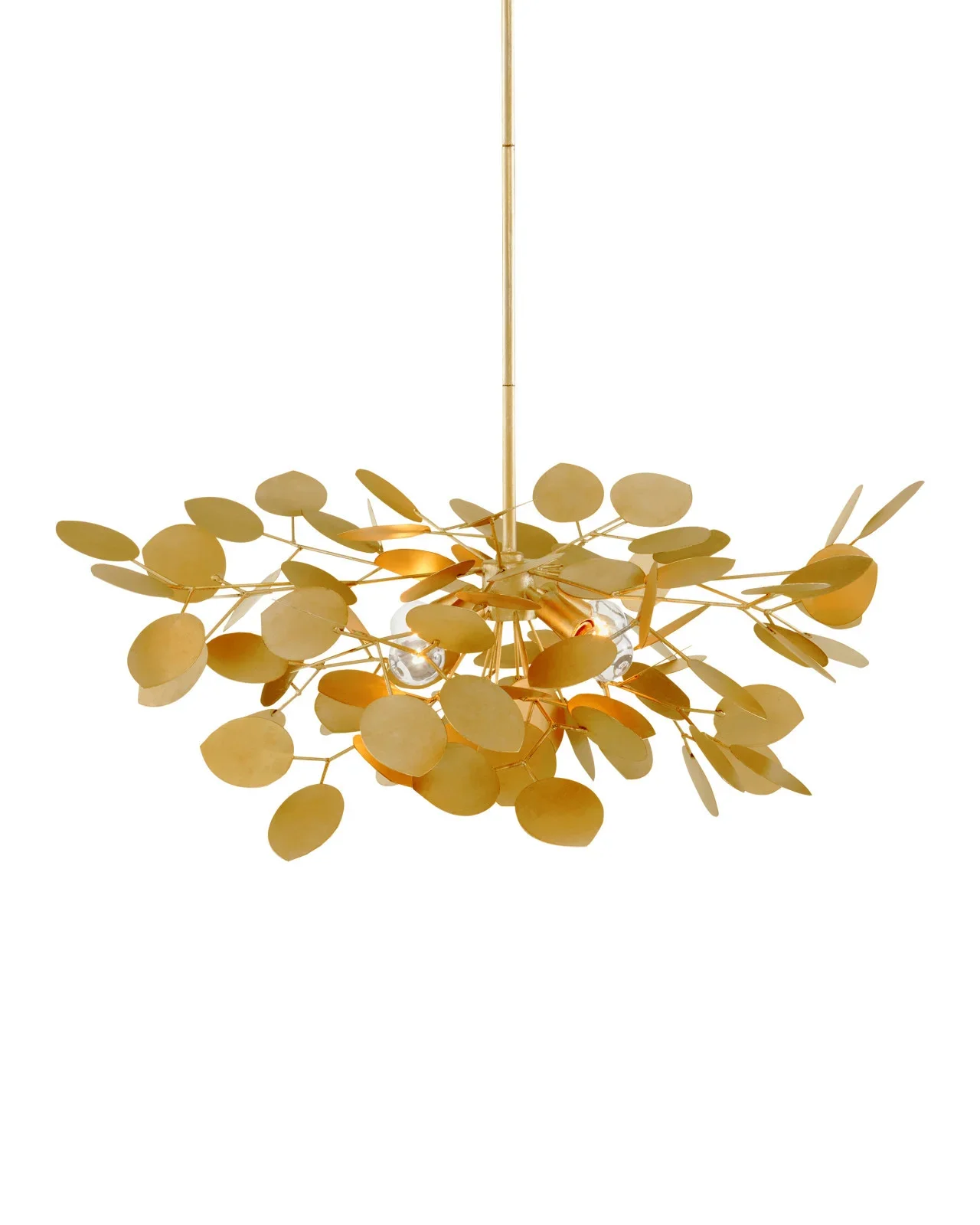 Lunaria 3.webp
