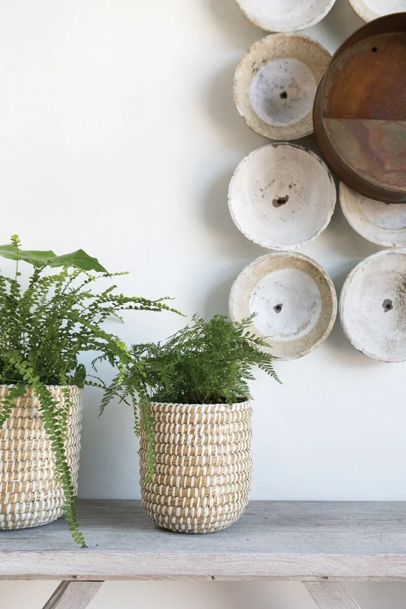 T Basket White 2.jpg