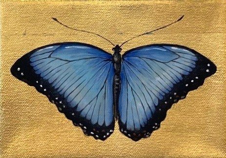 Red Spotted Butterfly on Gold Background