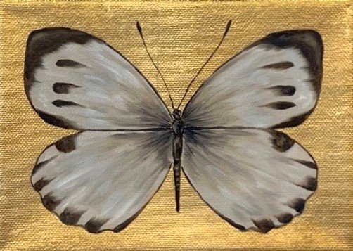 RB_Butterfly_Cabbage_White_I_5x7.jpg