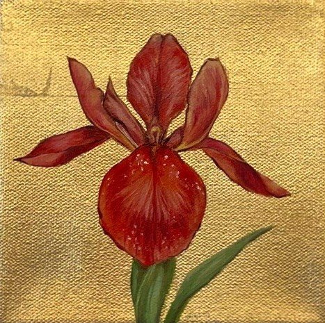 Iris Cajun on Gold Background