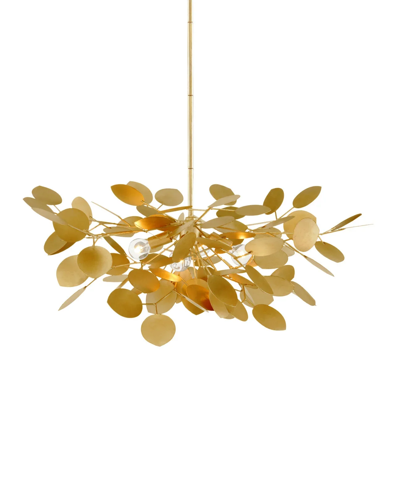 Lunaria 1.webp