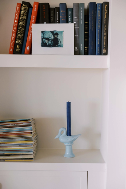 swan blue bookshelf.png