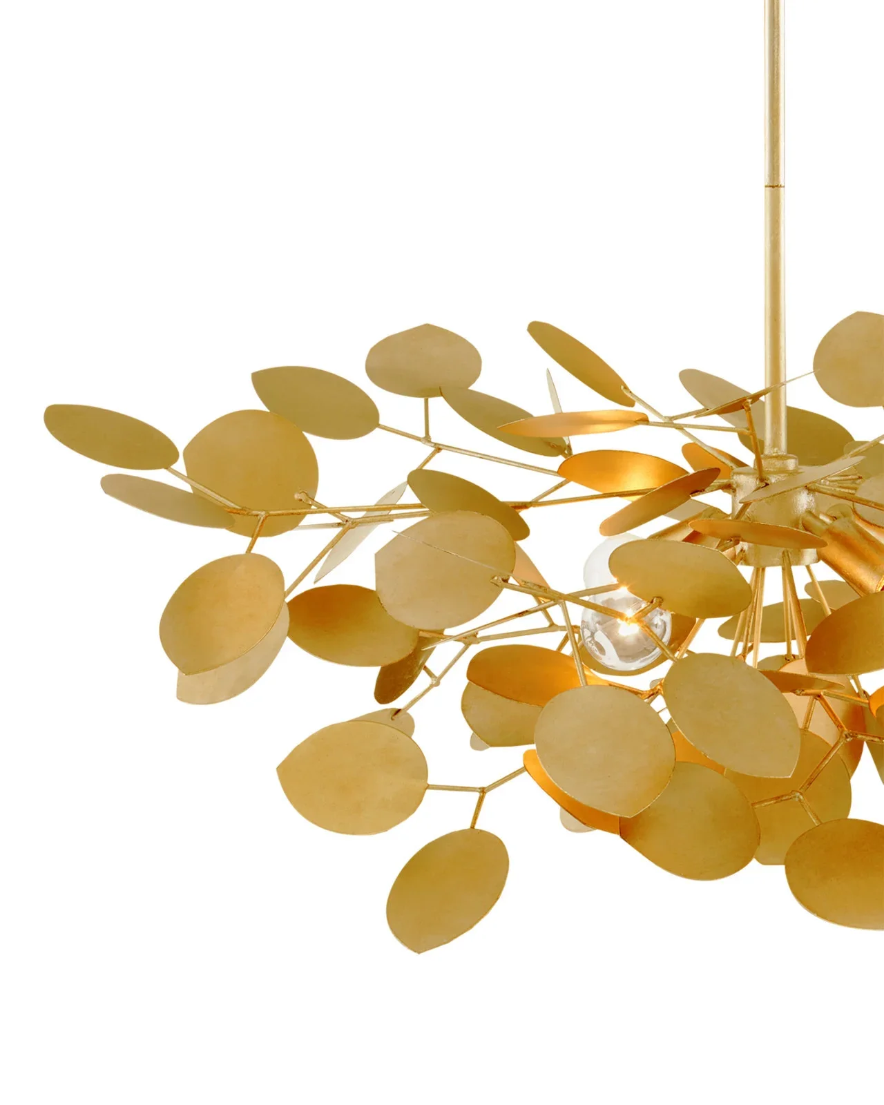 Lunaria 4.webp