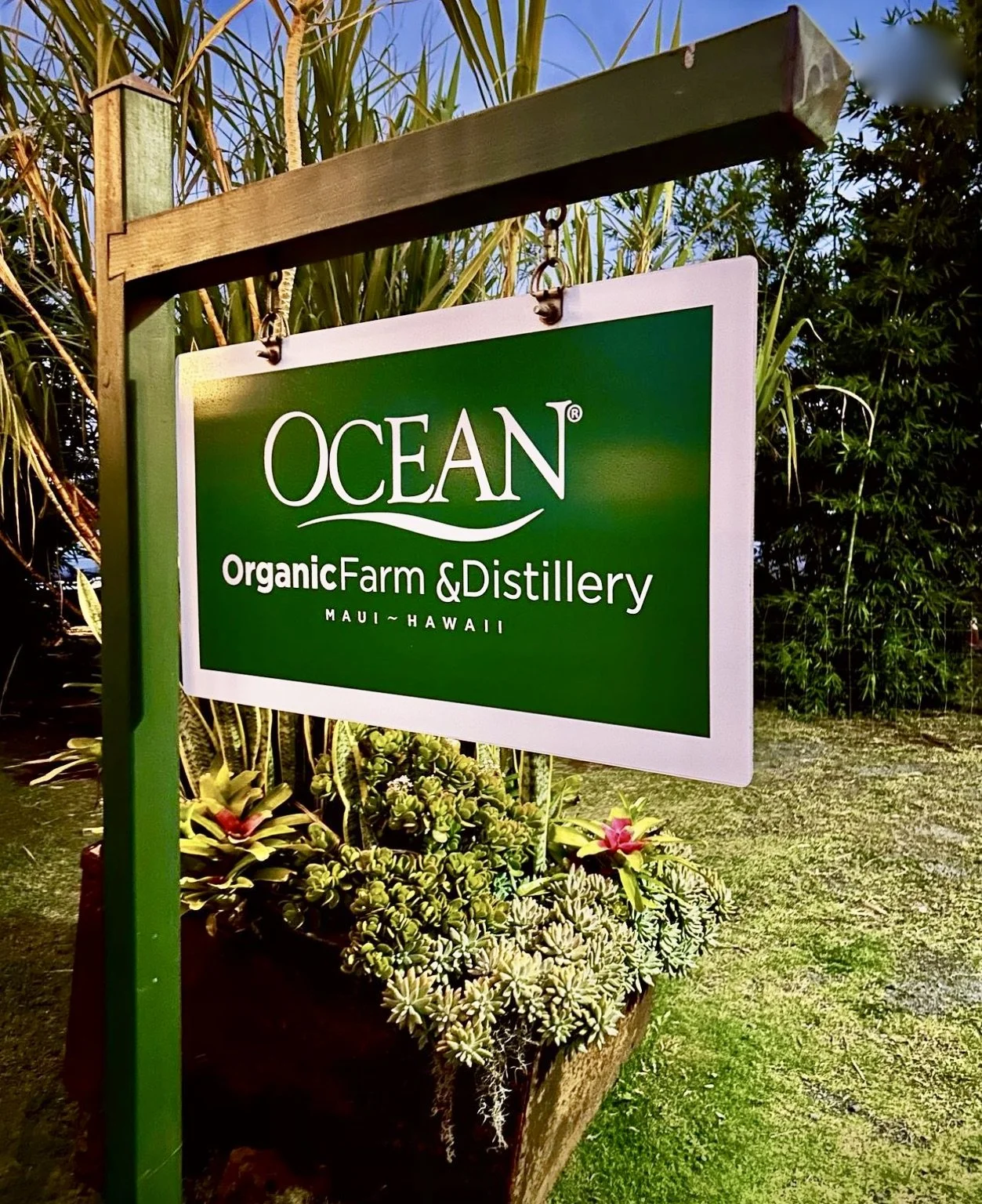 Sept 6, 2023 - Ocean Vodka