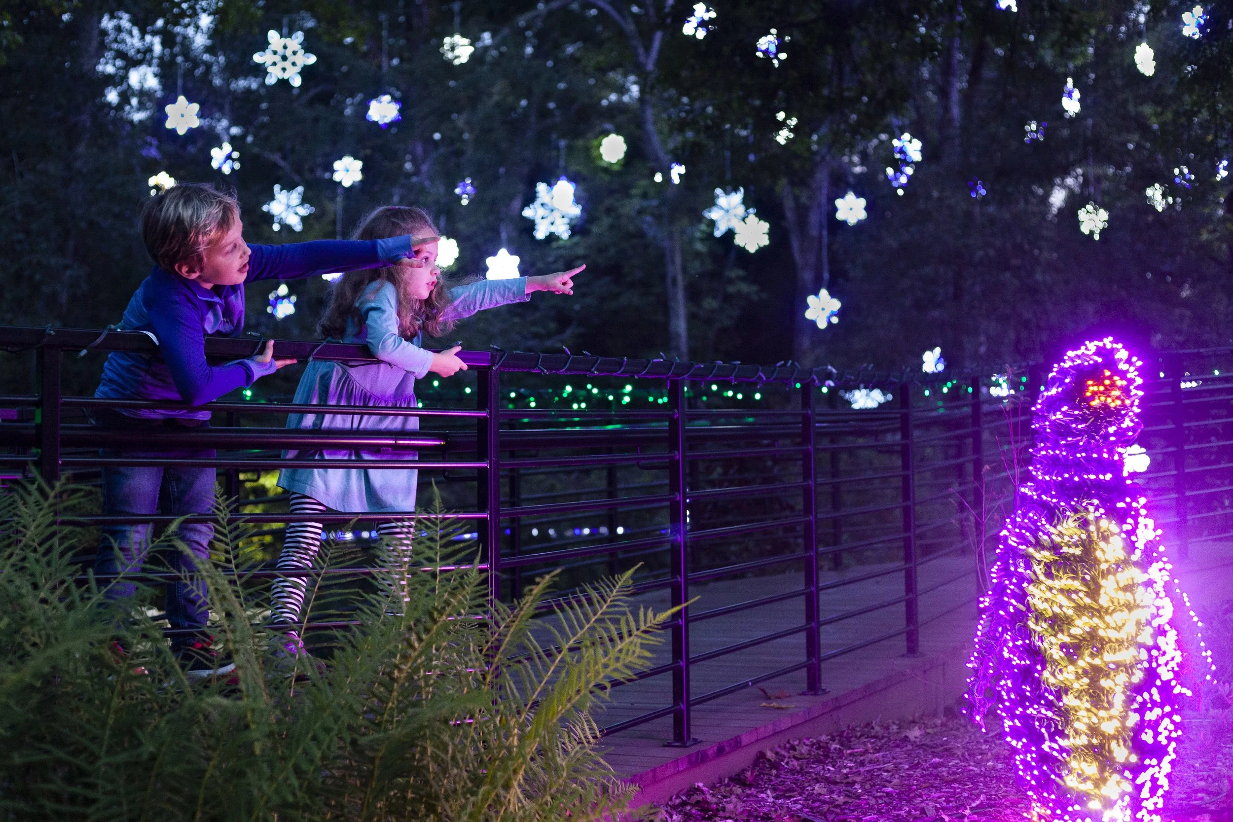 WonderLights-2.jpg