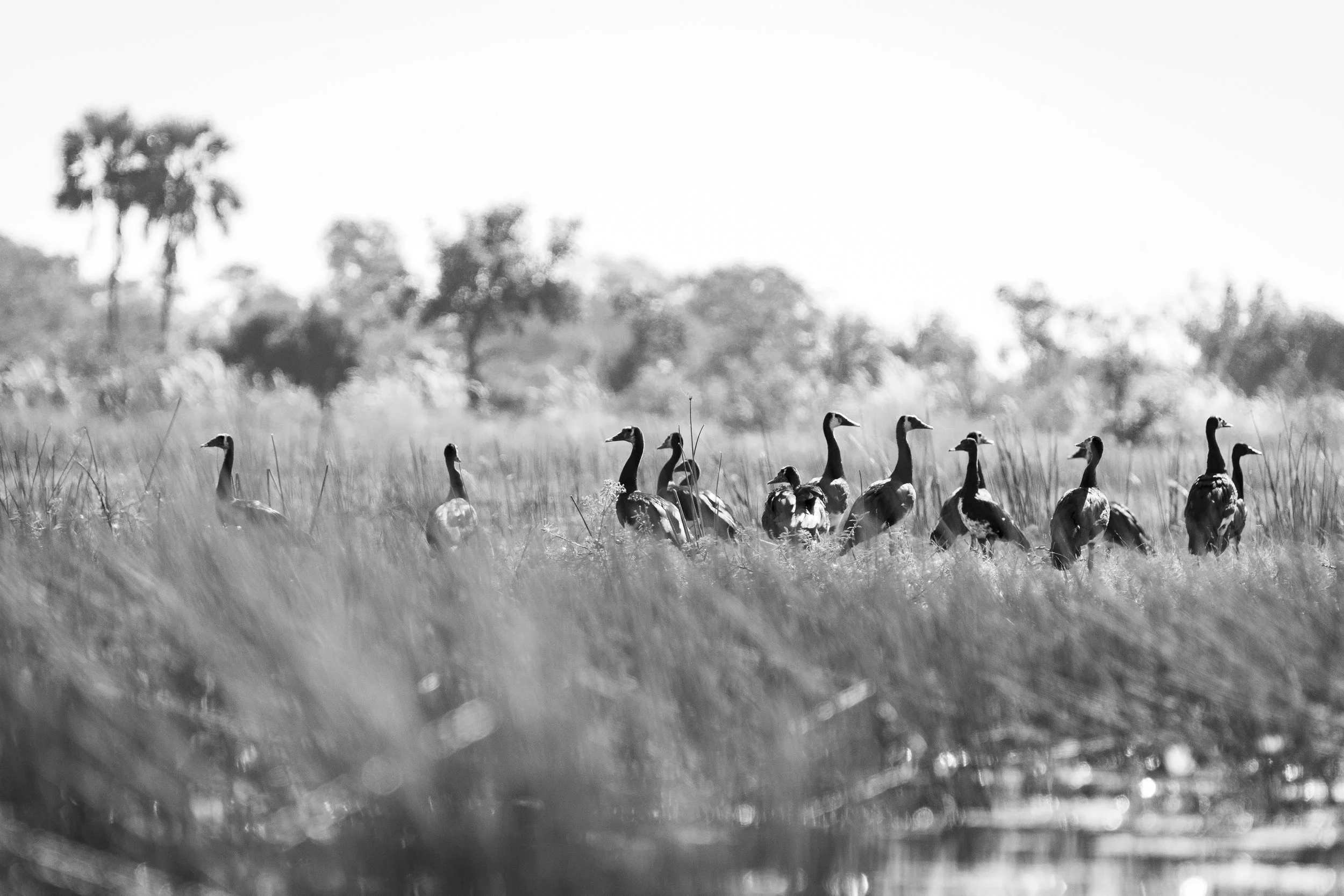 210807_edits-6.jpg