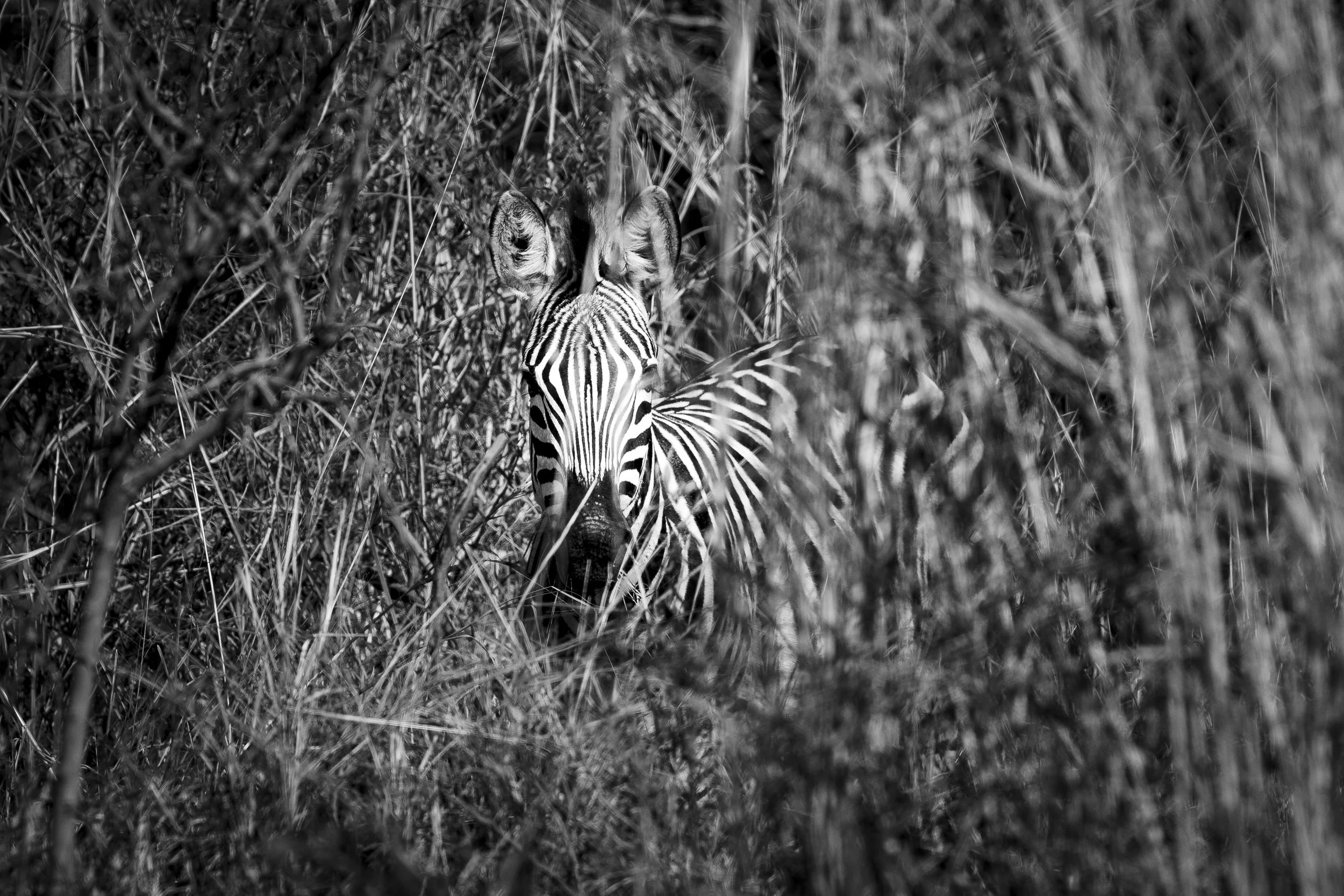 210807_edits-4.jpg