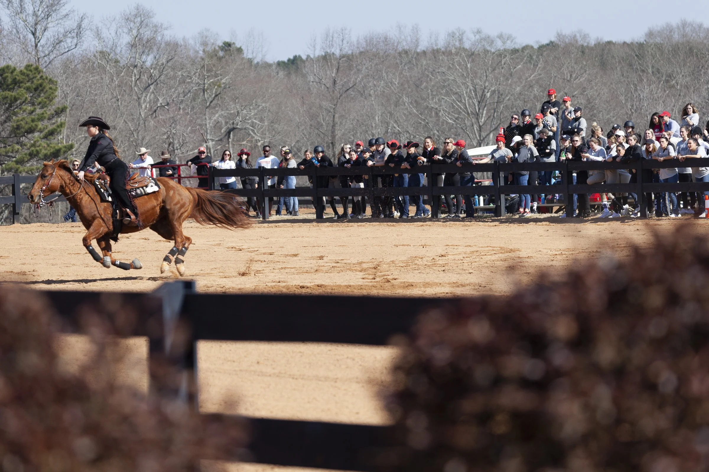 220212_SPF_Equestrian_0039.jpg