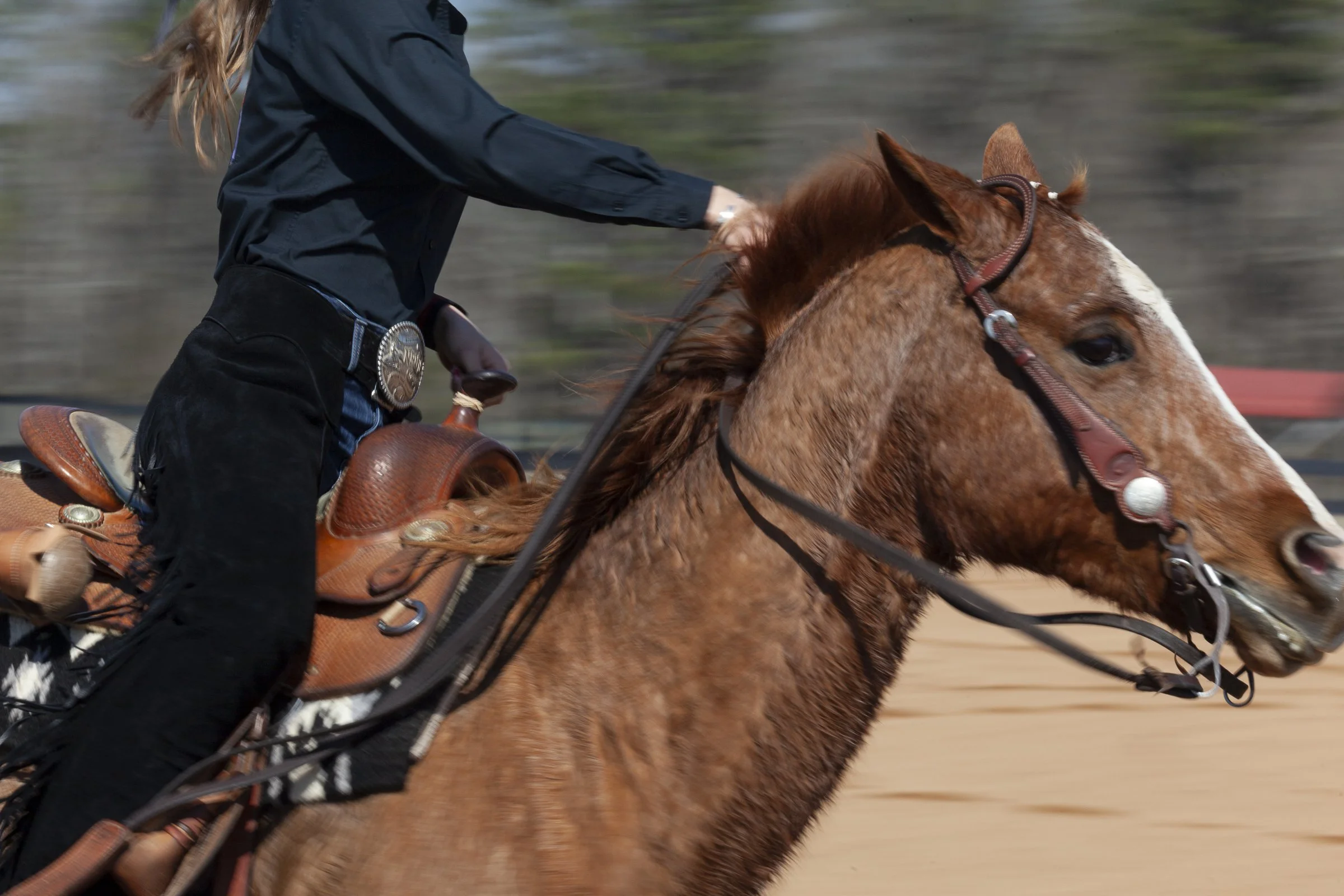 220212_SPF_Equestrian_0036.jpg