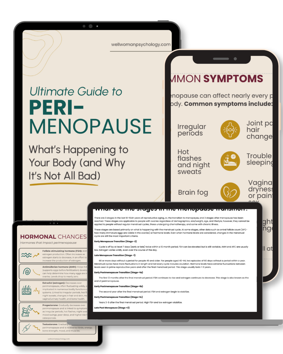 Want to know all the ins and outs of perimenopause? Check out this guide from a woman's therapist.