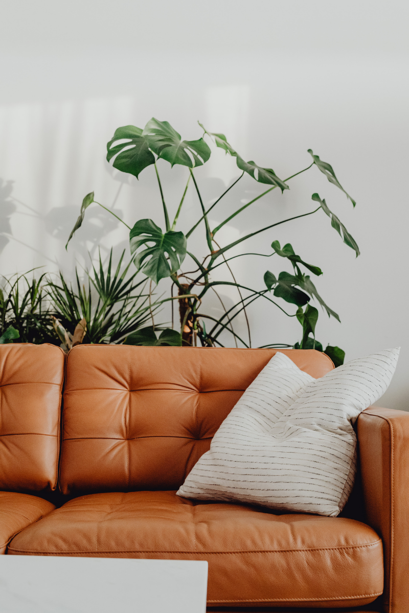 An orange leather sofa and plants. Private pay therapy may be more accessible than people realize. Contact us today to see if we can support you with virtual therapy. 90274 | 90015 | 90027