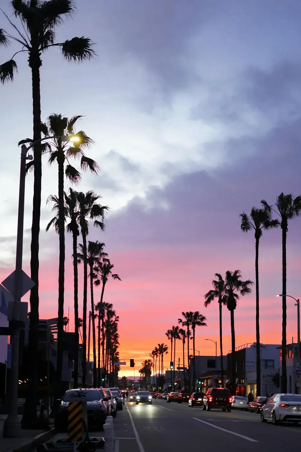 Sunset on a palm tree lined street in LA, California. Online therapy through Zoom on on the phone is convenient and effective. 90094 | 90401 | 90266