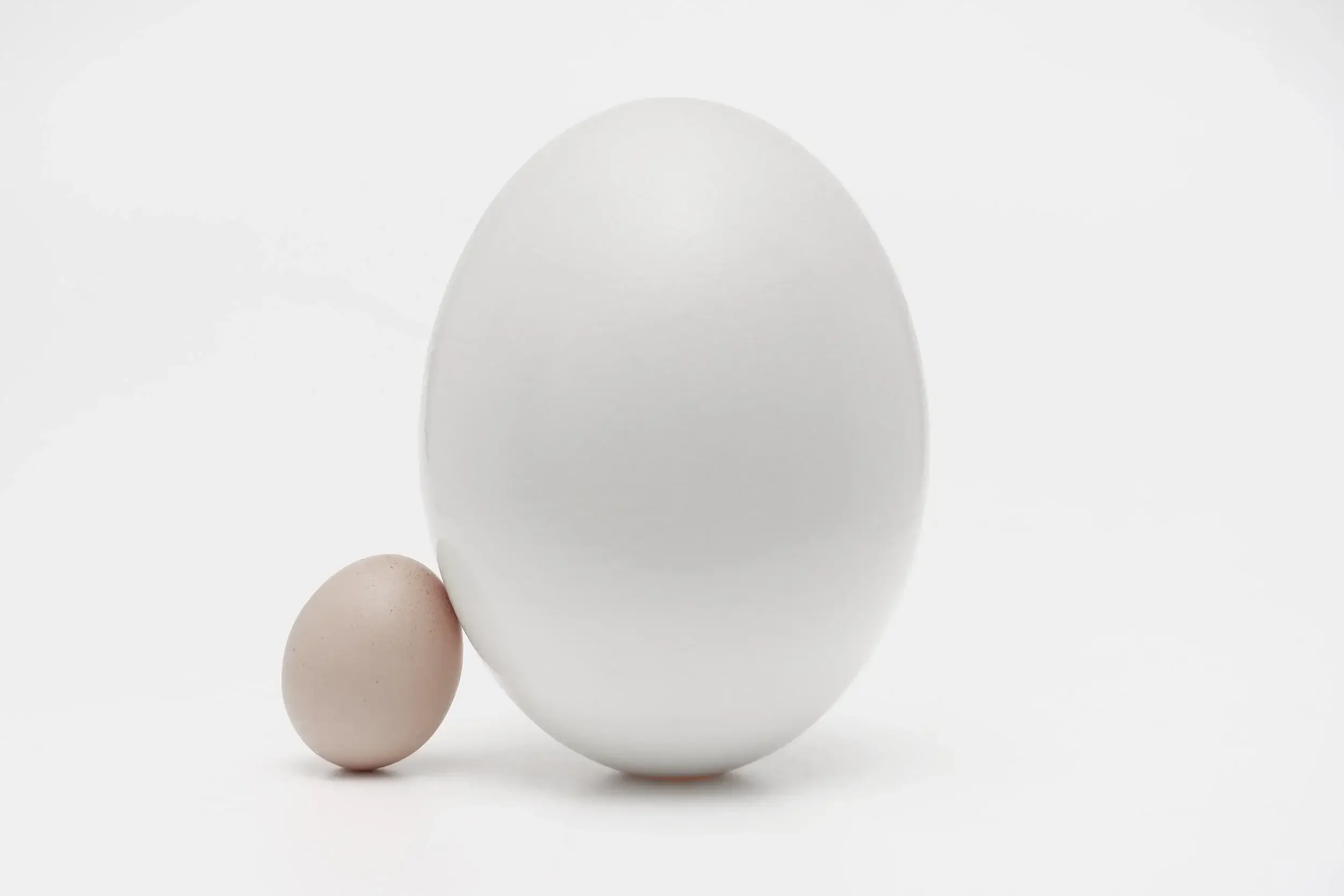 A photo of a small egg and a large egg to represent the pain of infertility and how plus size patients are treated. A Health at Every Size infertility therapist in Los Angeles can help you cope as a part of infertility therapy in Los Angeles.