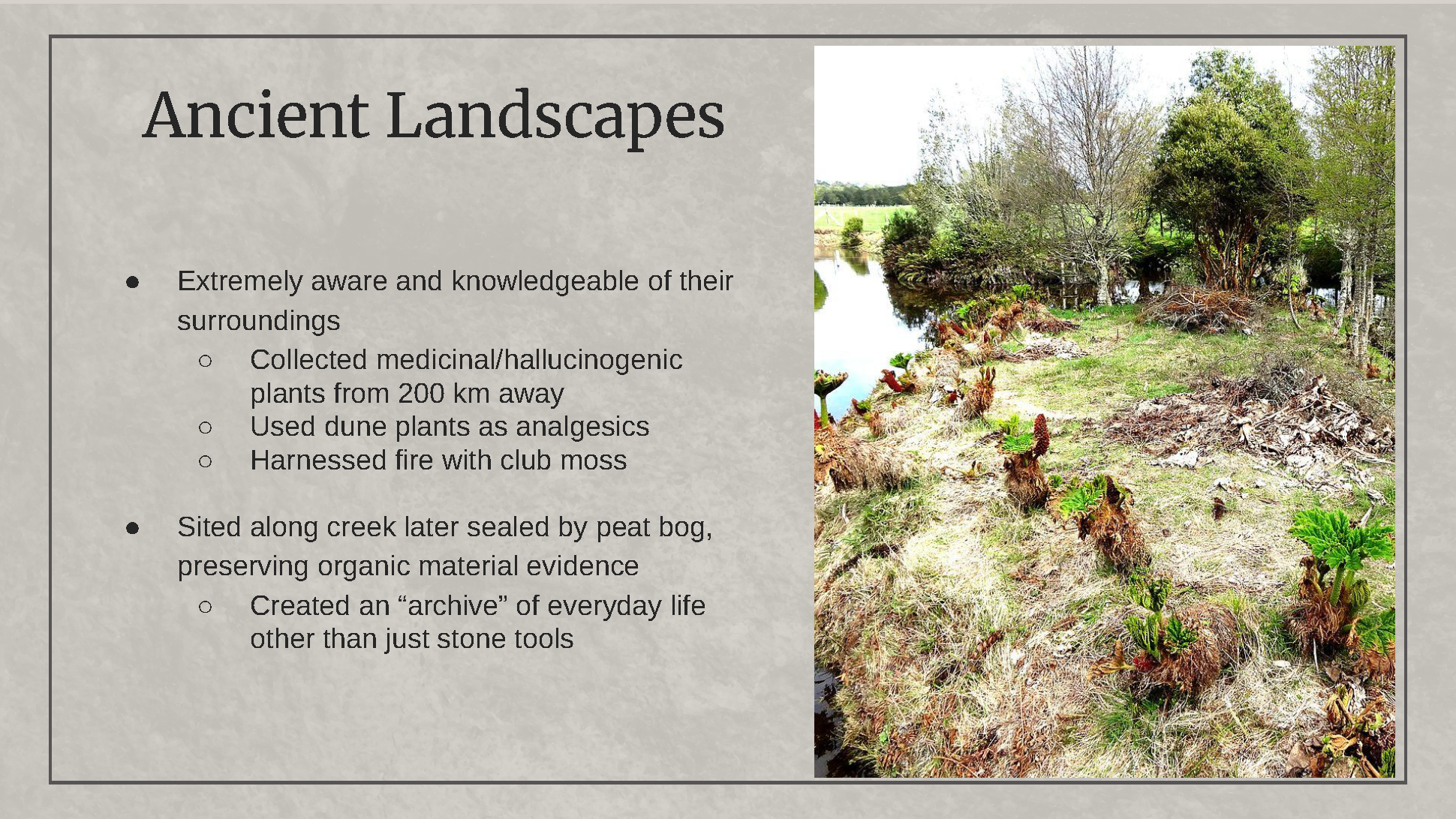 Presentation TBD_ Monte Verde_Page_7.png