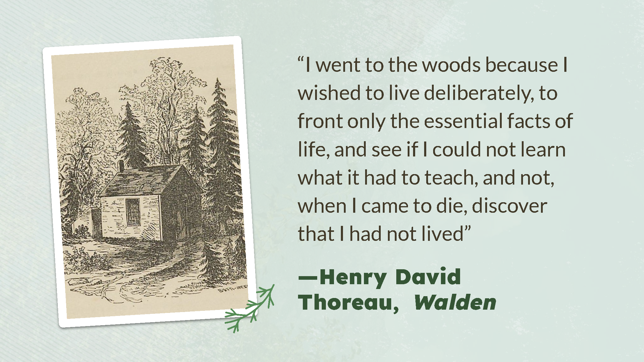 Presentation 1_ Thoreau_Page_15.png