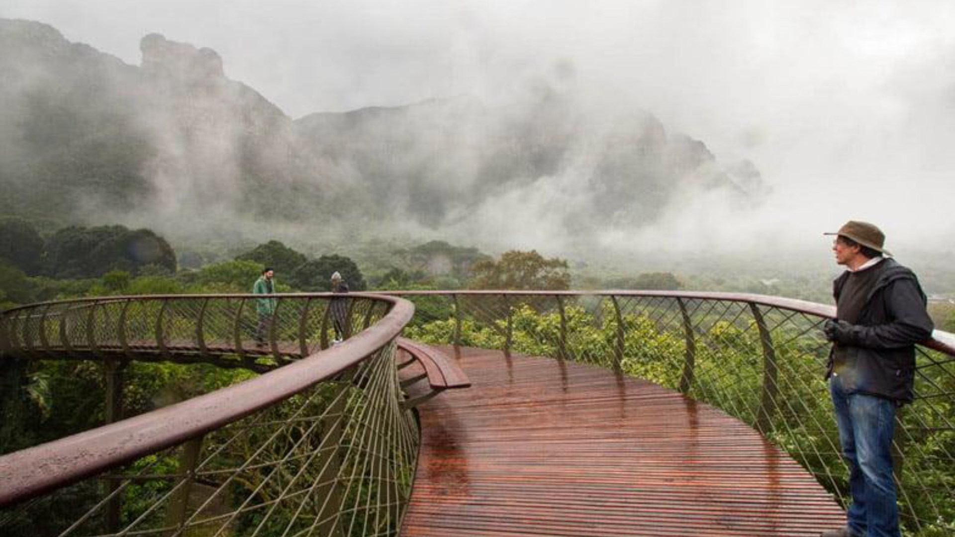 Presentation 2_ Kirstenbosch_Page_15.png