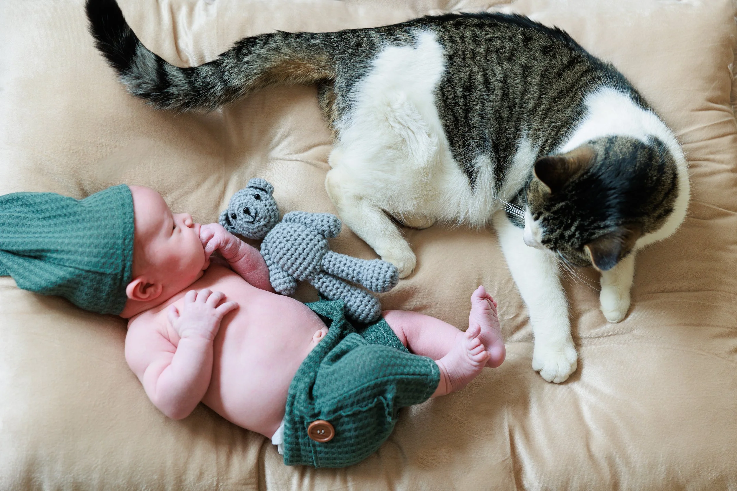 Vermont-Newborn-Photoshoot-491A0372__StaciOswaldCreative_edit.jpg