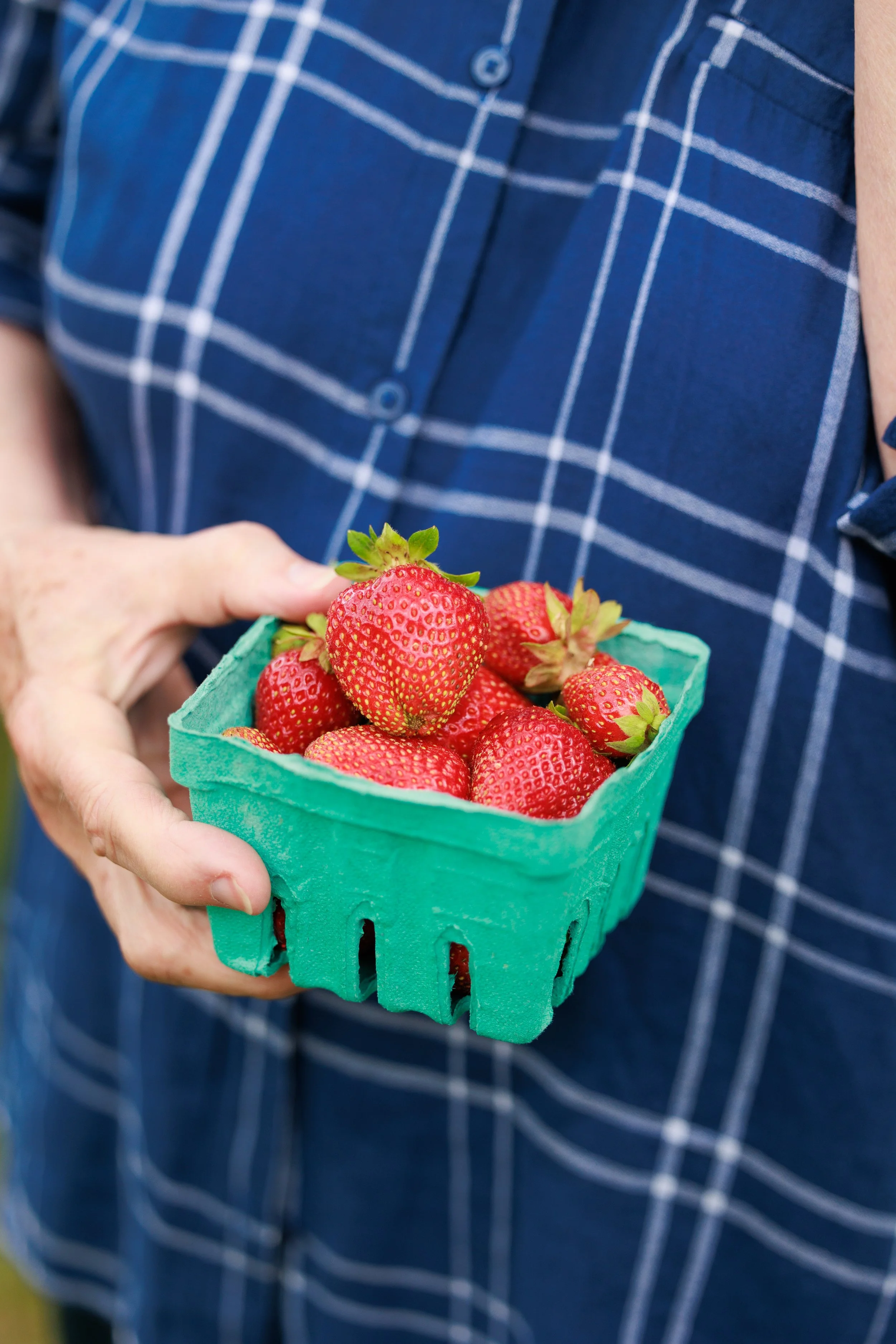 Slate Valley Farmers Market | Granville, NY Event Photography