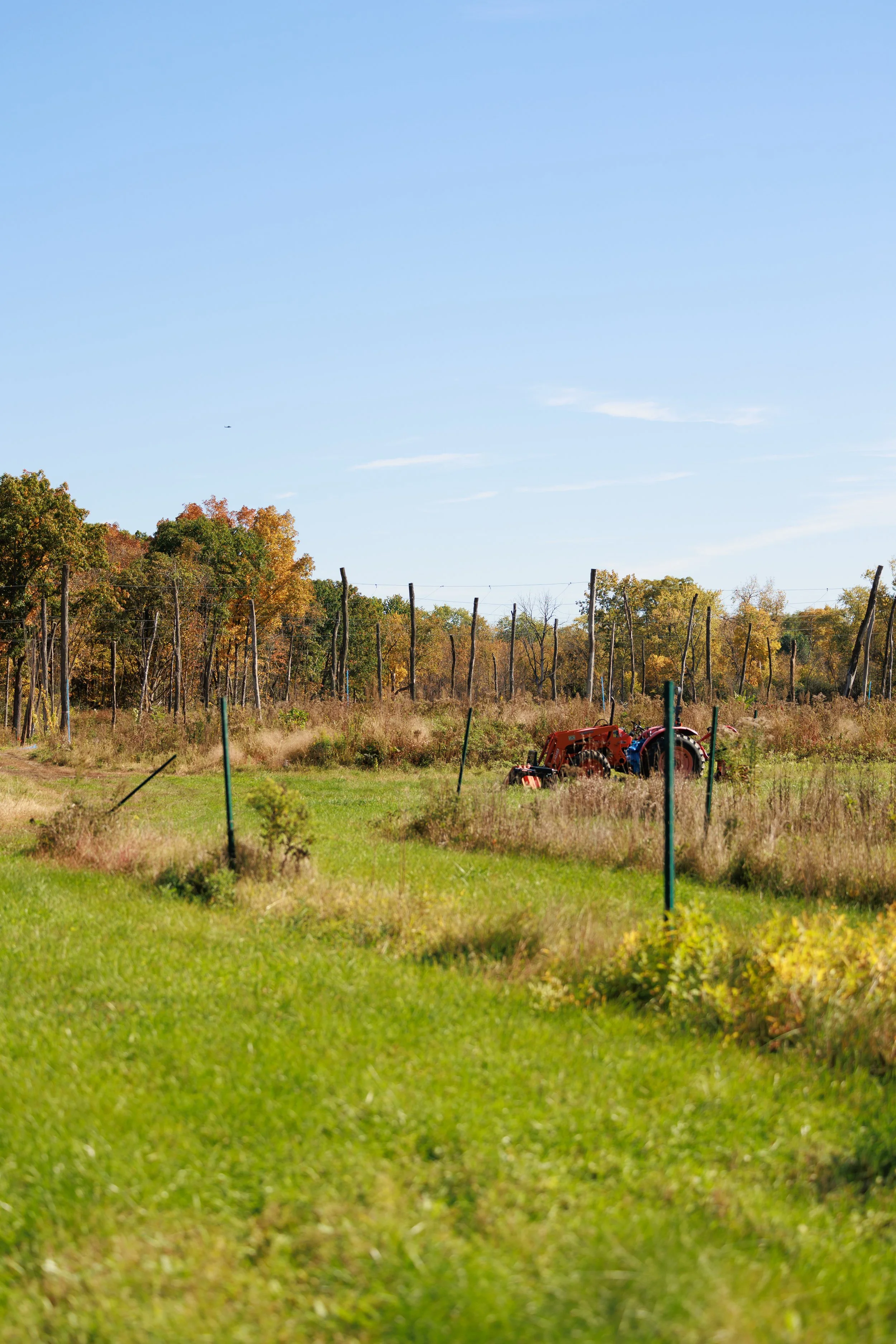 20261015_PinkBootsSociety-NYChapters-HopRub_491A7048_StaciOswaldCreative.jpg