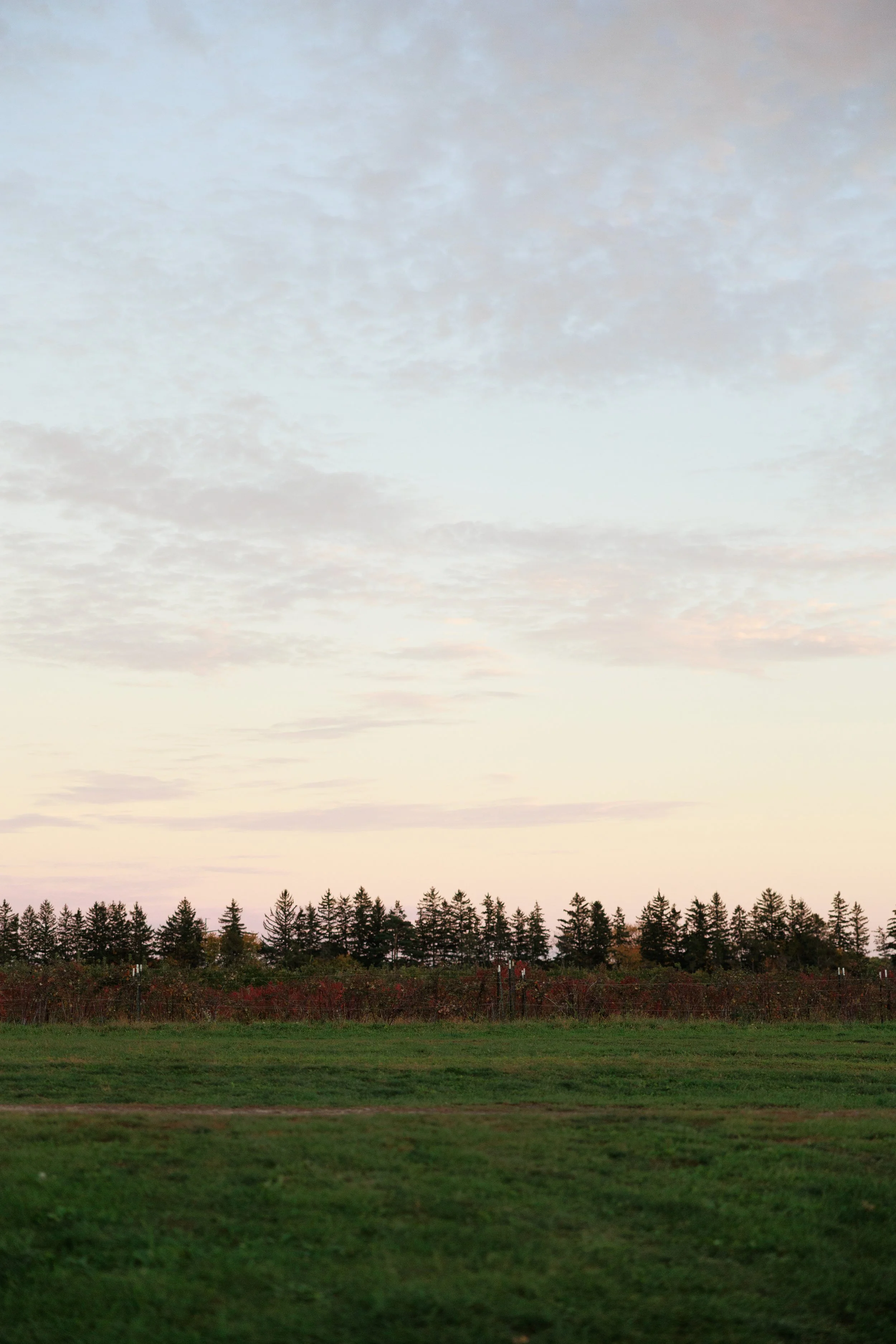 20261015_PinkBootsSociety-NYChapters-HopRub_491A7328_StaciOswaldCreative.jpg