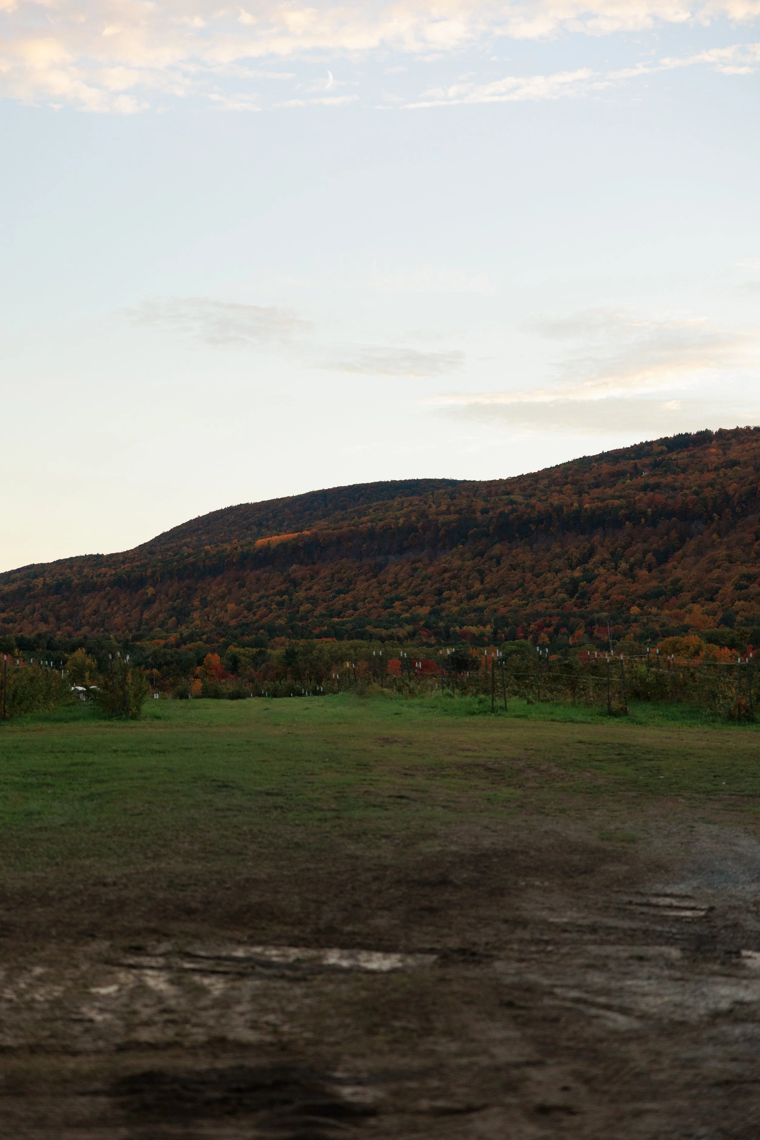 20261015_PinkBootsSociety-NYChapters-HopRub_491A7330_StaciOswaldCreative.jpg