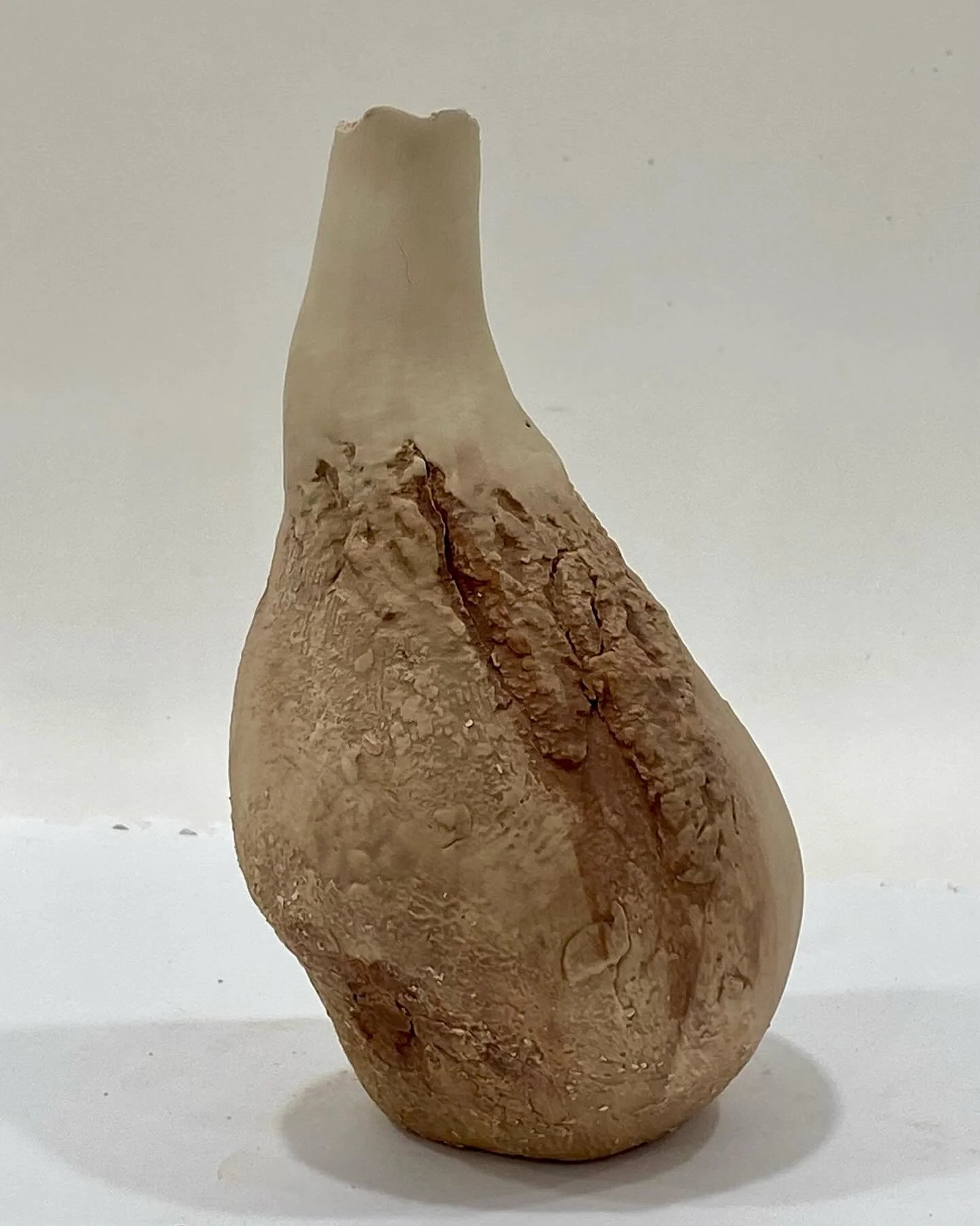 Some bark vessels ready to fire #ceramics #nature #functionalart