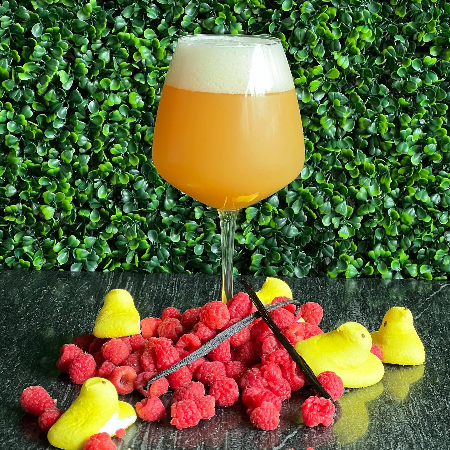 🐥 🍺🐥🍺🐥🍺🐥🍺🐥🍺

He Is Rizzin&rsquo;

This Thursday, we&rsquo;ve got a special lil&rsquo; treat for yinz. To coincide with our weekly vinyl night, we&rsquo;ll have a single keg of our new Early Spring DIPA. Coming in at a soft 8% abv and having