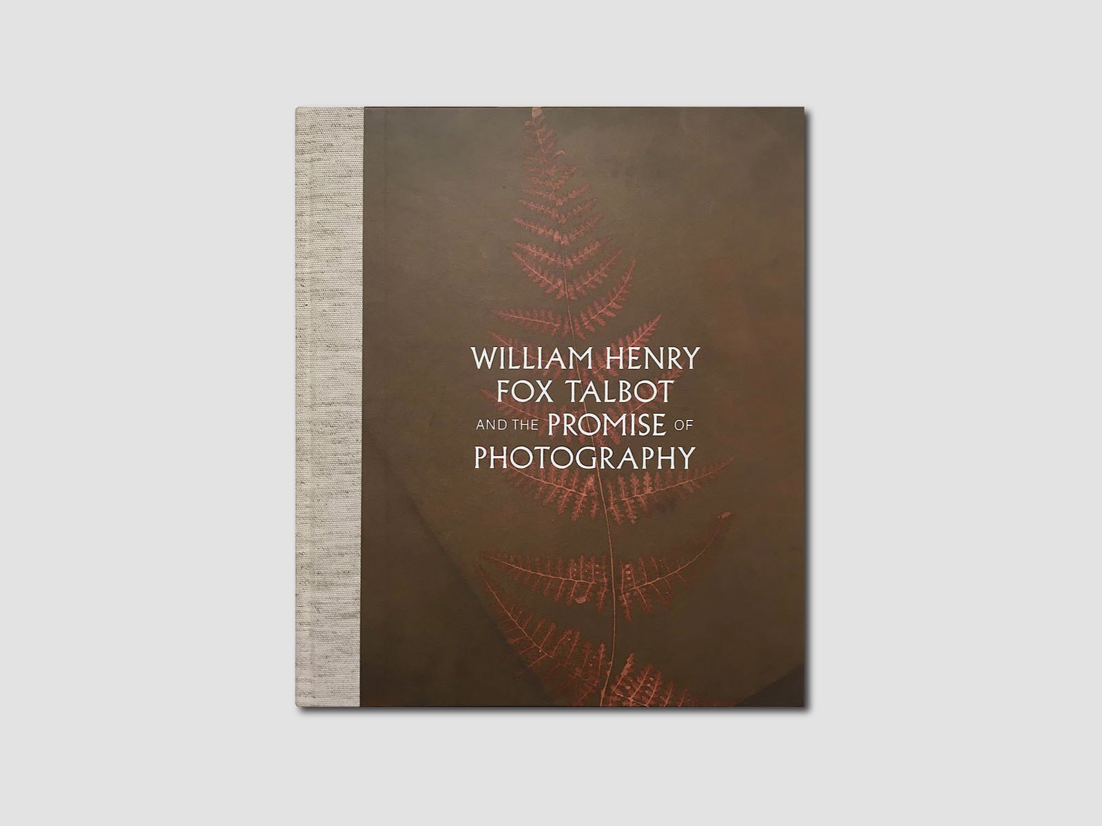 William Henry Fox Talbot and the Promise of Photography