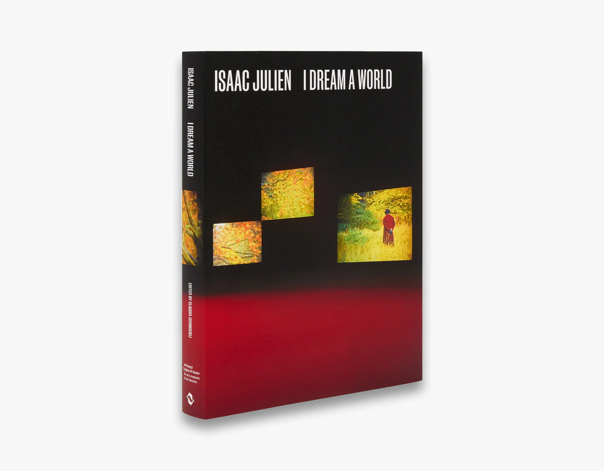 Pages from 'Isaac Julien: I Dream a World.'